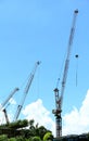 Three cranes