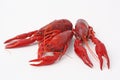 Three crayfish