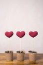 Three crocheted hearts in peat glasses