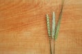 Three crop ears on wood