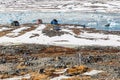 Three crosses. Abandoned cemetery in Qoornoq - former fishermen Royalty Free Stock Photo