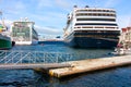 Three cruise ships