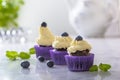 Three cupcakes with blueberry in purple wrap on white marble table top Royalty Free Stock Photo