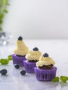 Three cupcakes with blueberry in purple wrap on white marble table top Royalty Free Stock Photo