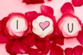 Three cupcakes for St. Valentine`s day