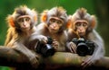 Three curious funny monkeys sit on a branch, holding toy digital