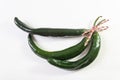 Three curved green chilaca peppers tied with red hemp twine isolated on white