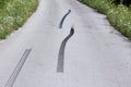 Three curvy dark skid marks on local paved road surrounded with uncut grass filled with small flowers