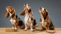 Three Cute Basset Hounds Engaged in Treat Time Fun - Generative AI Royalty Free Stock Photo