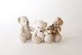 Three cute bears together Royalty Free Stock Photo