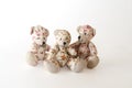 Three cute bears Royalty Free Stock Photo