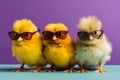 Three cute chicken chicks wearing sunglasses, representing a fun and playful image. Ai generated