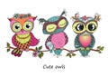 Three cute colorful owls sitting on tree branch Royalty Free Stock Photo