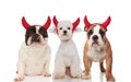 Three cute devil dogs wearing red horns