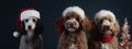 Three cute dogs in Christmas, red hats. AI Generated Royalty Free Stock Photo