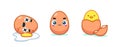 The Three Cute Eggs. Isolated Vector Illustration