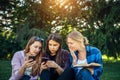 Three cute girls relax and socialize on the lawn in the summer park. Young women on the green grass among the trees, looking