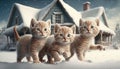 Three Cute Kittens Playing in the Snow