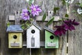 Three cute little birdhouses on wooden fence with flowers Royalty Free Stock Photo