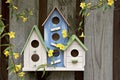 Three cute little birdhouses on wooden fence with flowers Royalty Free Stock Photo