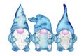 Three cute nordic gnomes
