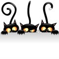 Black Cats Cartoon Naughty and Playful