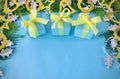 Three cyan gift boxes tied with yellow ribbon on an aqua background. Royalty Free Stock Photo