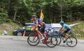 Three Cyclists- Tour de France 2017