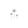 Three dandelion flowers with curved sprig. Big bloom with big shabby petals