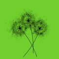 Three dandelions . Happy mother`s day greeting card on green background. Black blowball