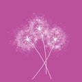 Three dandelions . Happy mother`s day greeting card on pink background. White blowball