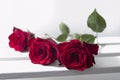 Three dark red roses lie on a wooden box. Two crystal glasses with champagne in defocus Royalty Free Stock Photo