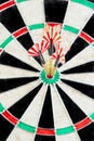 three darts in bull's eye close up. red three darts arrows in the target center business goal concept Royalty Free Stock Photo