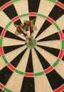 Three darts in bullseye