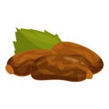 Three dates fruit lying with green leaf vector illustration