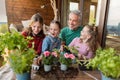 Three daughters helping father to plant flowers, home gardening concept Royalty Free Stock Photo