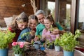 Three daughters helping father to plant flowers, home gardening concept Royalty Free Stock Photo