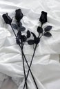 Three Decorative Black Roses