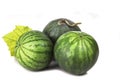 Three decorative mature green striped watermelon young