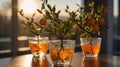 Sunlit Orange Tree Branches in Glass Vases, Vibrant Home Decor Royalty Free Stock Photo