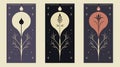 Minimalist Tarot Card Illustration With Alchemical Symbolism