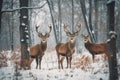 Three deer in the snow Generative AI Royalty Free Stock Photo