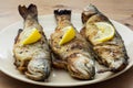 Three delicious grilled trouts