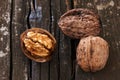 Three delicious walnuts