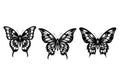Three detailed black and white butterfly illustrations in a row Royalty Free Stock Photo