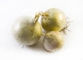 Three detailed white onions in different positions on a white background - composition