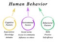 Determinants of Human Behavior Royalty Free Stock Photo