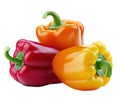 Three different color sweet bell peppers on white Royalty Free Stock Photo