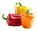 Three different color sweet bell peppers on white Royalty Free Stock Photo