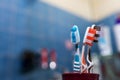 Three different colored tooth brushes in bathroom, shallow depth of field Royalty Free Stock Photo